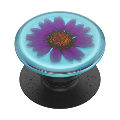 Secondary image for hover Pressed Flower Purple Daisy — Adhesive PopGrip